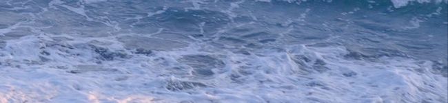 はぴぷらはむはむ's header image
