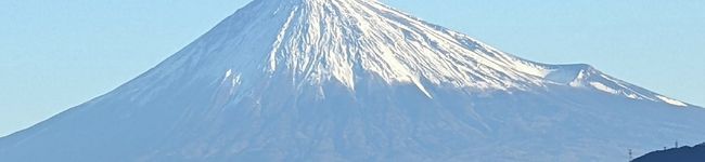 シャルたんち's header image
