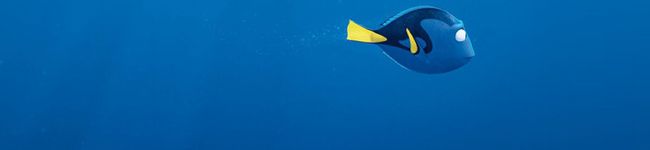 リオ茶's header image