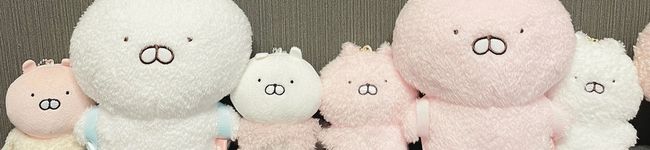 まいこっこ食堂's header image