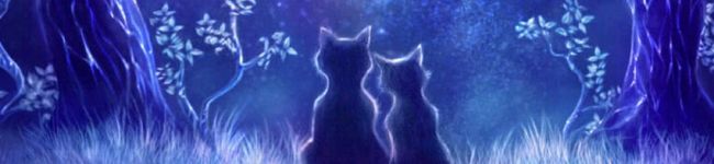 結歩湖's header image