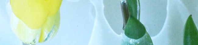 nnkysd's header image