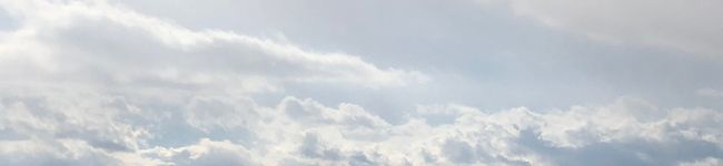 しがない社会人's header image