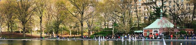 Lily0510's header image