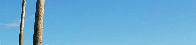 ブリチ♡キッチン's header image