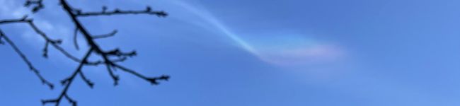 シバタさん's header image
