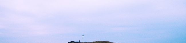 めめちょん's header image