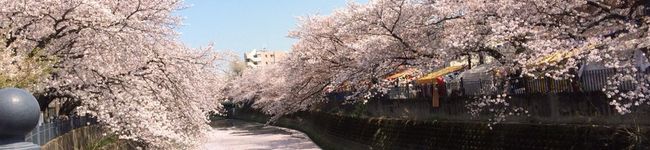 石野はじめ's header image