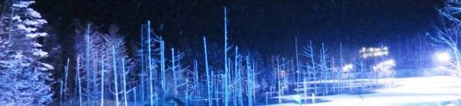 てるこのレシピ's header image