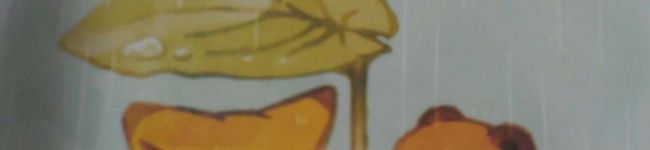yururiママ's header image