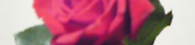 cocoloko05's header image