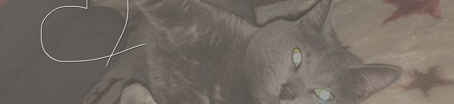 nanaco·ᴥ·'s header image