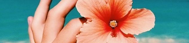 よし。。's header image