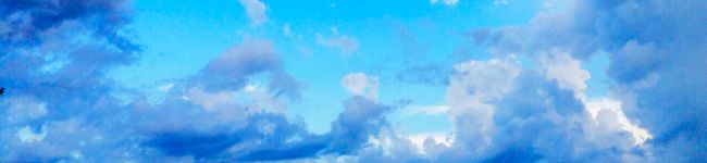 ぽんクッキング☆'s header image