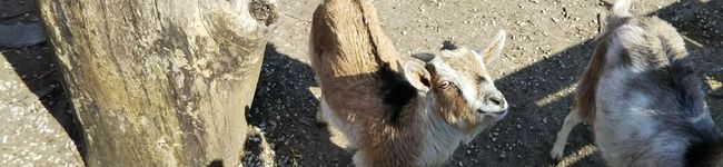 クックJUCG7Y☆'s header image