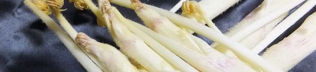 小平市野菜組合's header image