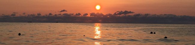 春海丸's header image