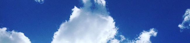 毎日低糖定食's header image