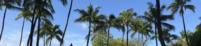 Beach0206's header image