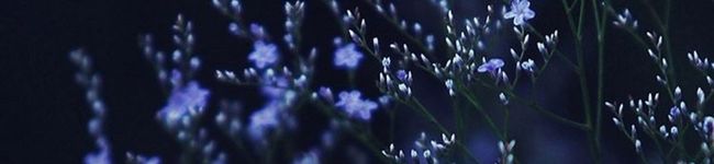 暇人の極み's header image