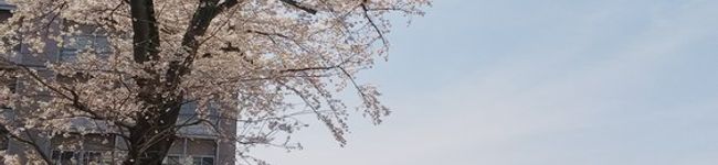 城西大学医療栄養学科's header image