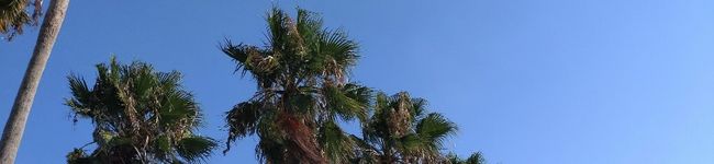 spring2018's header image