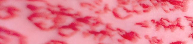 みづき✋✋'s header image