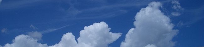 ふとっちょコックさん's header image