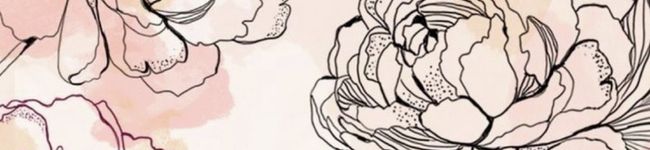 やんちゃネコ's header image