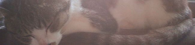 asuka0922's header image