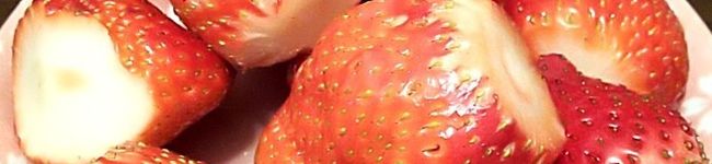 ＊ｋａｍｏ＊'s header image