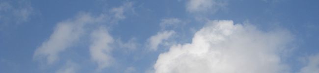 SeLu's header image