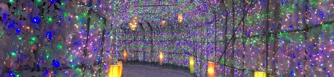 ゆんころり☆'s header image