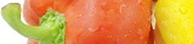 masuca's header image