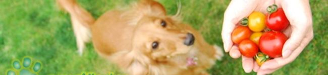 くぅちゃんのママ's header image