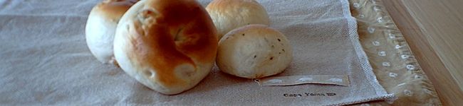 pivo's header image