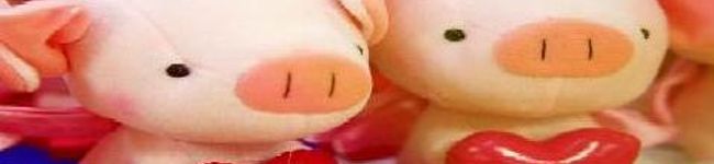 nomi52's header image