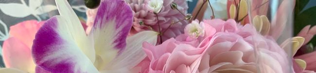 AOARA's header image