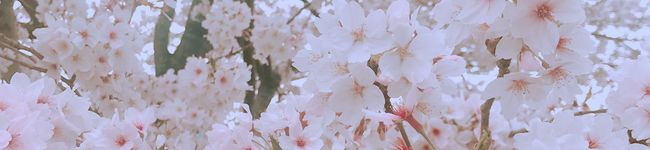 なお〜時々主夫's header image