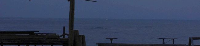俺と美代子's header image