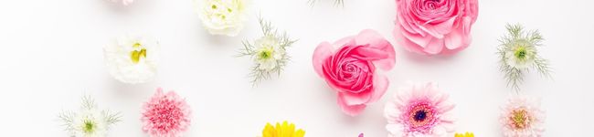 こうめ24's header image