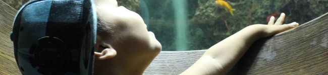Reo's mam's header image