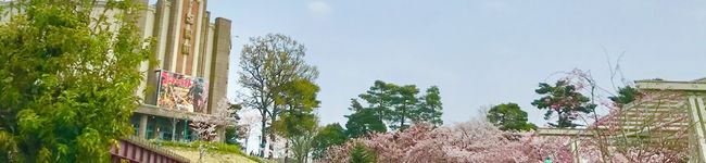 occo※'s header image
