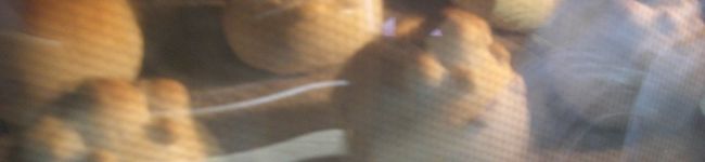 Hanna.T's header image