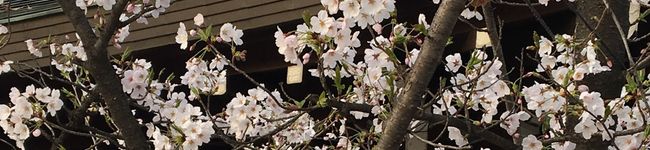 夢's header image