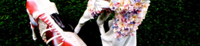 mattilda's header image