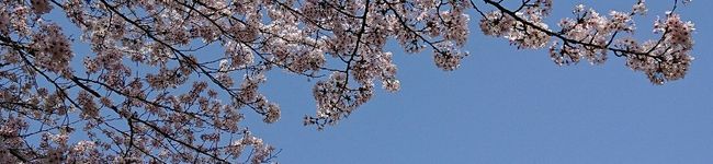 いわいふ's header image