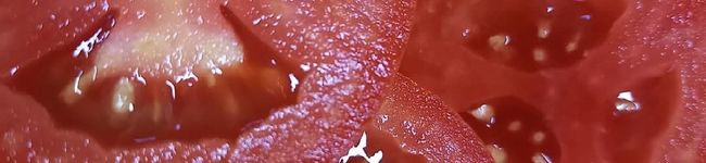 ハタレンコン's header image