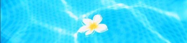 ココヘッド's header image
