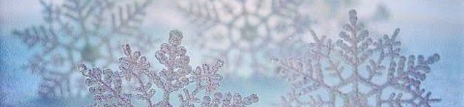 cloverஐ‬'s header image
